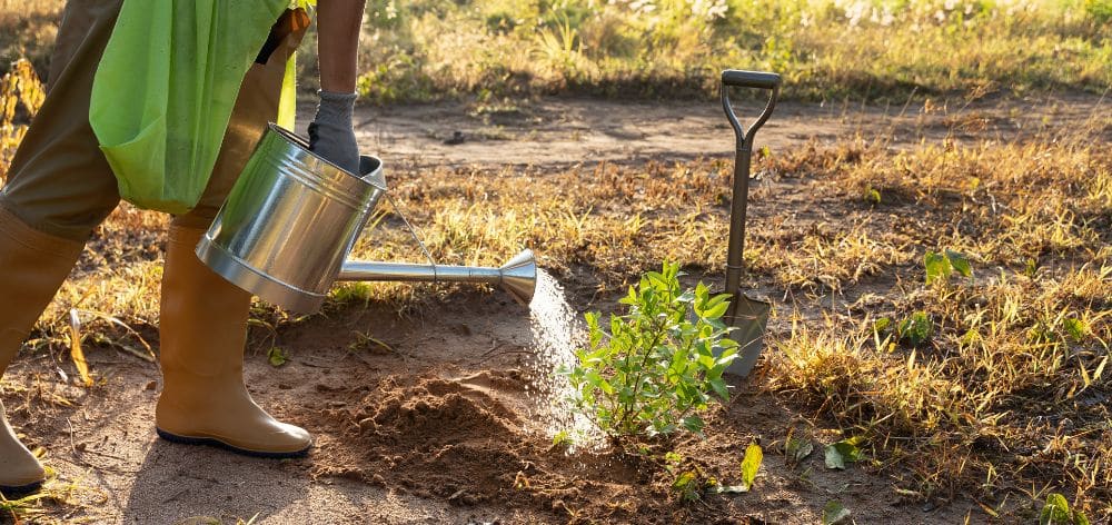 peru reuso agricola aguas tratadas
