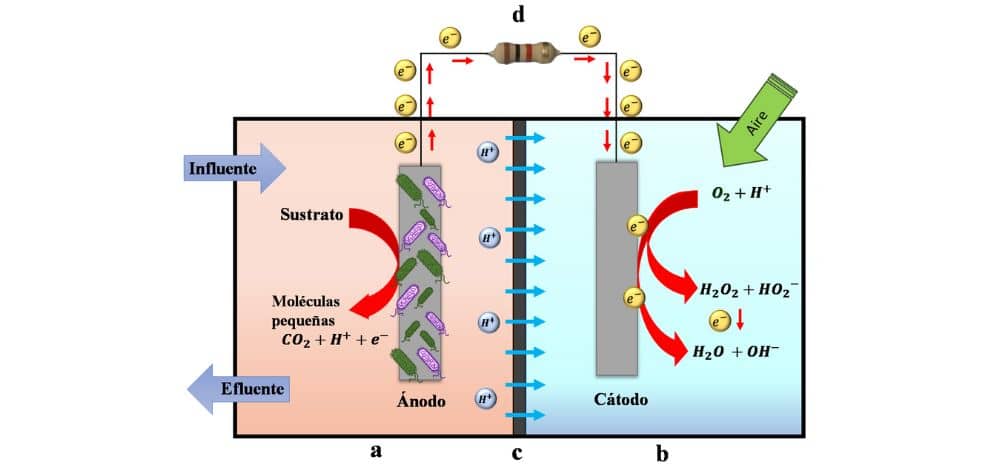 celdas combustible microbianas