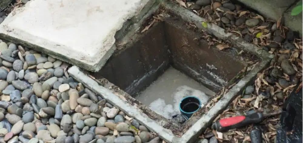 poso septico sin bacterias