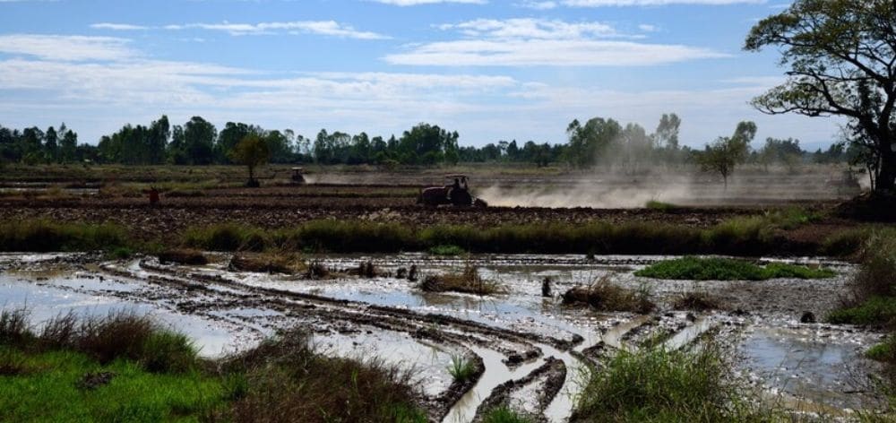 transformar lodos recurso agricola