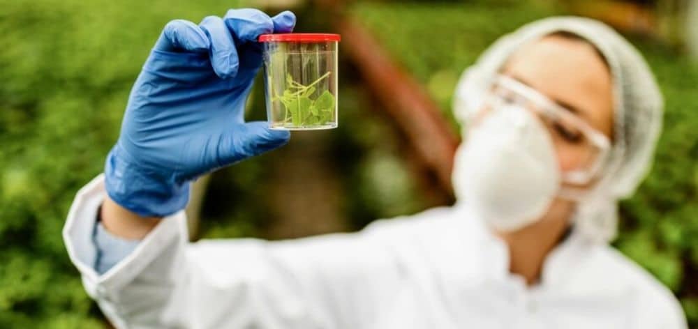 ventajas fitorremediacion aguas residuales