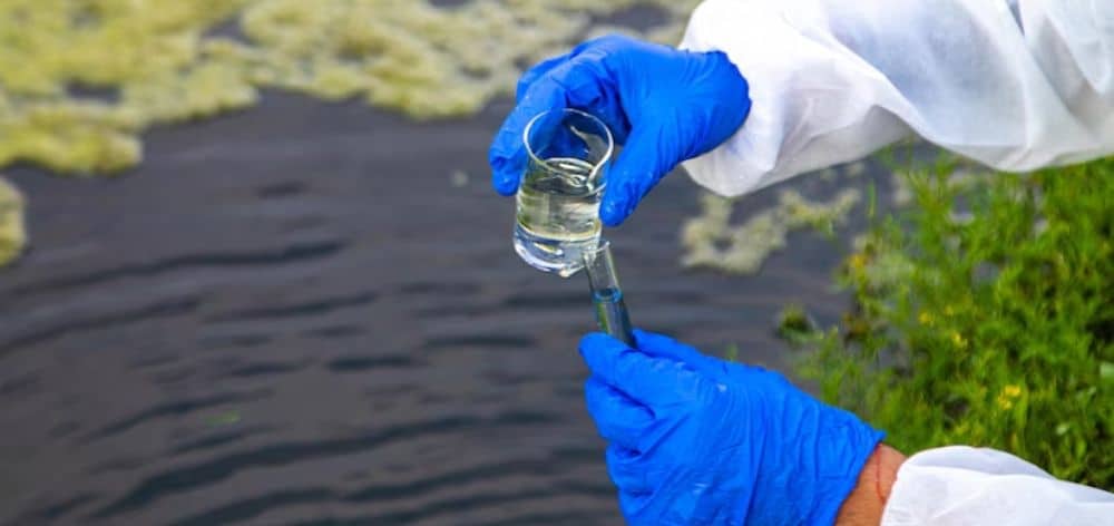 como funciona biotecnologia