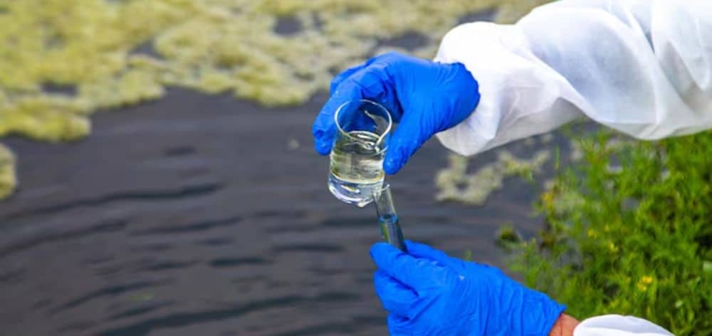 aplicaciones enzimas biodegradables