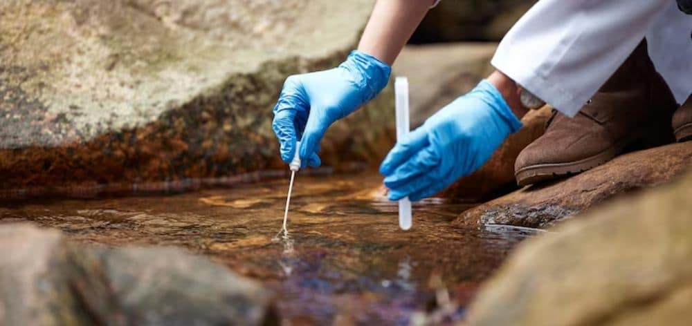 ventajas uso enzimas naturales biodigestoras