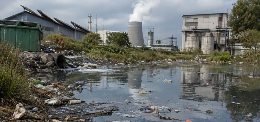 efectos contaminacion agua